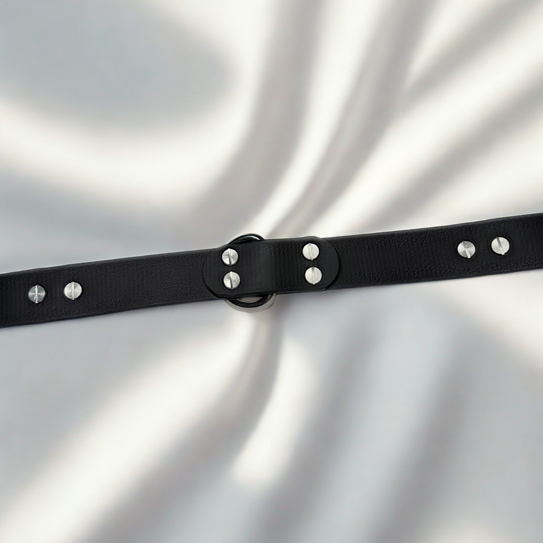 arrière collier biothane 