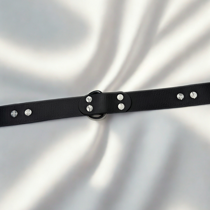 arrière collier biothane 