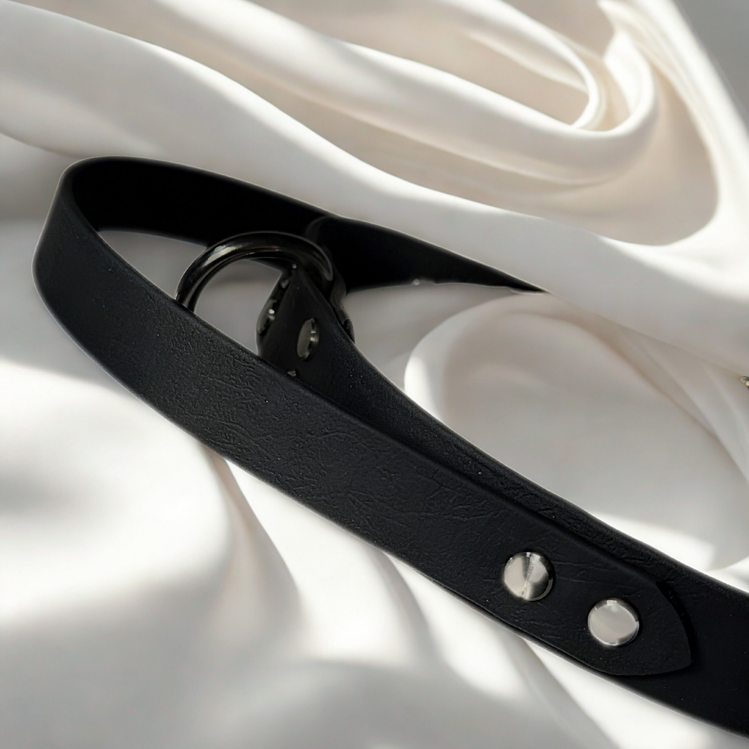 collier poignée biothane 