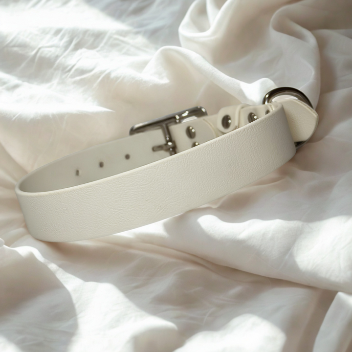 collier biothane blanc