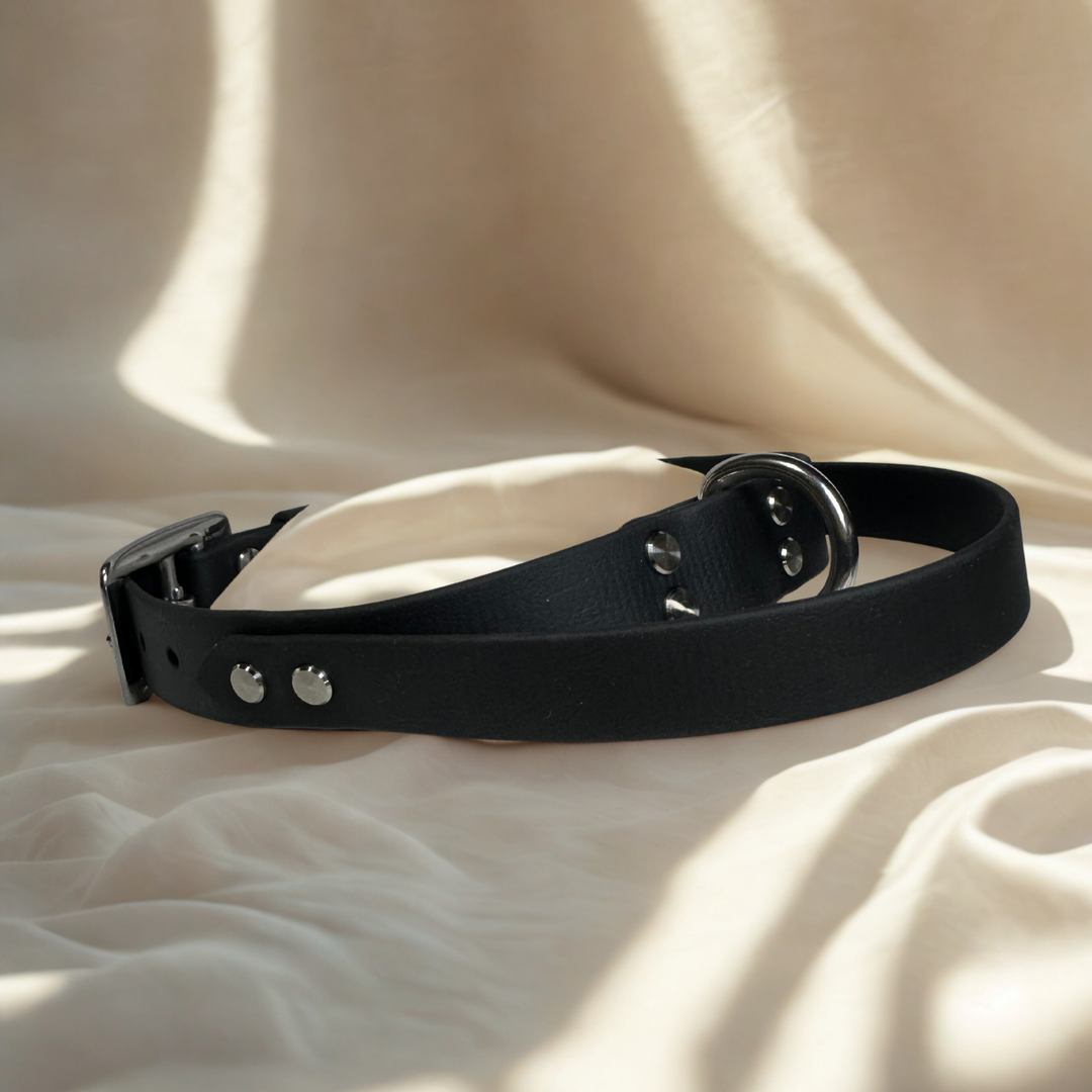 collier poignée biothane 
